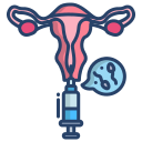 Uterus