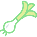 scallion