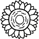 girasole