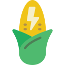 Corn