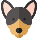 English toy terrier