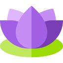 fleur de lotus