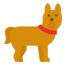 perro