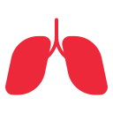 poumons humains