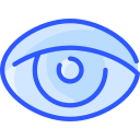 Eye