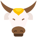 vache