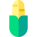 Corn