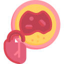 血管の心臓