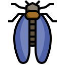 cicade