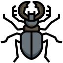 besouro de veado