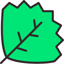 feuille