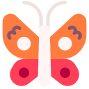 schmetterling