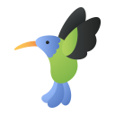 oiseau colibri