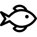 魚