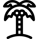 Palm tree