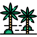 Palm trees