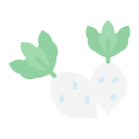 Radish