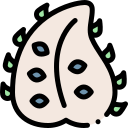 soursop