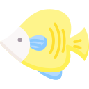 pesce angelo