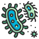 bacteriën