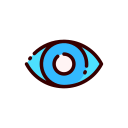 Eye