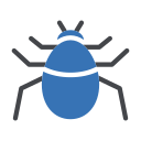 Beetle