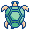 tortuga