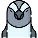 pinguin