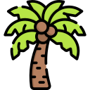 Coconut tree