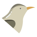 ptak