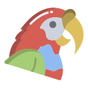 Parrot