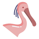 Spoonbill