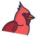 kardinal