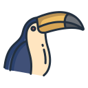 toucan