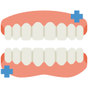 Teeth