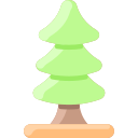 Spruce