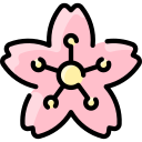 kwiat wiśni