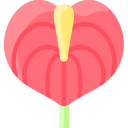 anthurium