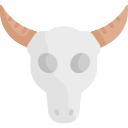 雄牛の頭蓋骨