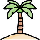 Palm tree