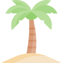 Palm tree