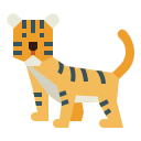 tygrys