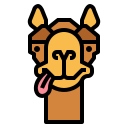 kameel