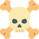 czaszka i kości