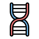 structure de l'adn