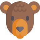niedźwiedź