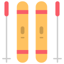 Ski sticks