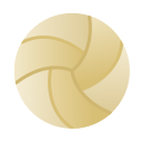 volleybal