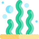 海藻