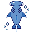 hammerhai fisch